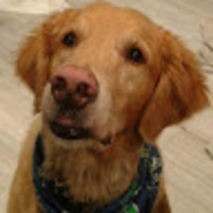 Meet your Posher, Joseph